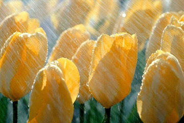 12,13,14 июня центр не работает!