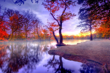 Приглашаем на ЙОГА-НИДРУ и "ПРОЩЕНИЕ" с 3 по 7 июня!