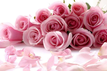 8-11 марта мы не работаем!