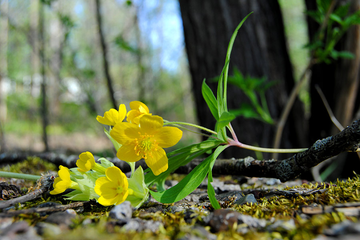 Выездной семинар в санаторий Березки, г. Аша