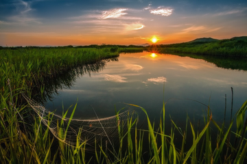 Йога-отдых "МОЛЧАНИЕ"