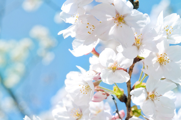 Подарочная СКИДКА НА ЙОГУ 50%