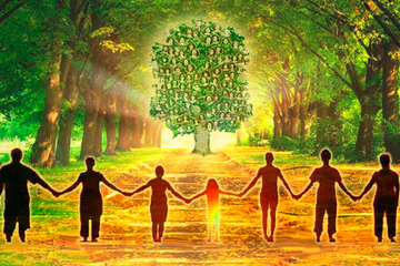 Мой ЖИЗНЕННЫЙ сценарий