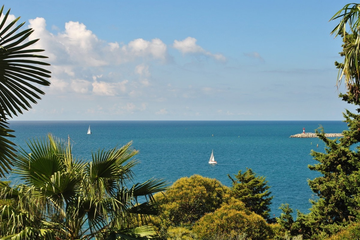 Релакс-программа "Бархатный Сочи"